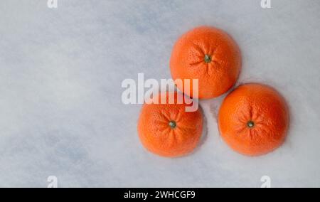 Leckere Orangen im Schnee. Gesundes Lebensmittelkonzept. Vitamine. Virenschutz. Störfestigkeit. Frische Zitrusfrüchte für Vitamin C mit hohem Gehalt an Antioxidantien, Anthocyanen, Stockfoto