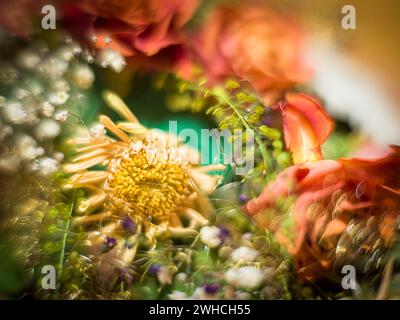 Blumenarrangements aus getrockneten Blüten Stockfoto