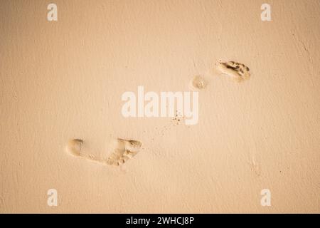 Ein einzelnes Paar Fußabdrücke hinterlässt Spuren auf glattem, unberührtem Sand, was auf einen Moment der Einsamkeit und Reflexion am Meer hindeutet. Stockfoto