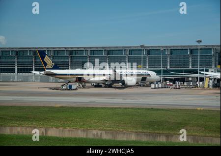 25.07.2023, Singapur, Republik Singapur, Asien - ein Passagierflugzeug der Singapore Airlines vom Typ Airbus A350-900 mit der Registrierung 9V-SHL parkt am Gate auf dem Flughafen Singapur-Changi. Singapore Airlines ist Mitglied der Star Alliance Luftfahrtallianz, einem internationalen Netzwerk von Fluggesellschaften. *** 25 07 2023, Singapur, Republik Singapur, Asien A Singapore Airlines Airbus A350 900 Passagierflugzeuge, Registrierung 9V SHL, Parken am Gate am Flughafen Singapur Changi Singapore Airlines ist Mitglied der Star Alliance Airline Alliance, einem internationalen Netzwerk der airl Stockfoto