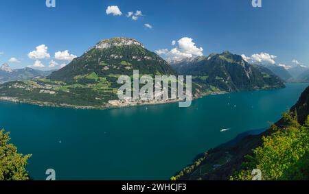 Blick von Seelisberg über den Vierwaldstättersee nach Fronalpstock und Bristenstock, Kanton URI, Schweiz, Seelisberg, Vierwaldstättersee, Uri, Schweiz Stockfoto