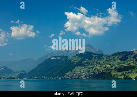 Blick über den Vierwaldstättersee nach Weggis, Kanton Luzern, Schweiz, Vierwaldstättersee, Luzern, Schweiz Stockfoto