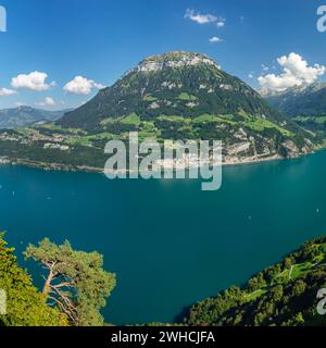 Blick vom Seelisberg über den Vierwaldstättersee zum Fronalpstack, Kanton URI, Schweiz, Seelisberg, Vierwaldstättersee, Uri, Schweiz Stockfoto