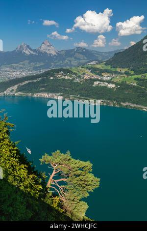 Blick vom Seelisberg über den Vierwaldstättersee Brunnen und die beiden Mythen, Kanton URI, Schweiz, Seelisberg, Vierwaldstättersee, Uri, Schweiz Stockfoto