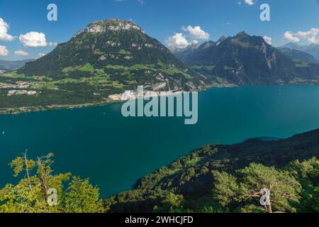 Blick von Seelisberg über den Vierwaldstättersee nach Fronalpstock und Bristenstock, Kanton URI, Schweiz, Seelisberg, Vierwaldstättersee, Uri, Schweiz Stockfoto