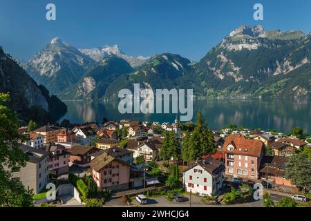 Sisikon am Vierwaldstättersee mit Blick auf URI Rotstock und Gitschen, Kanton URI, Schweiz, Sisikon, Vierwaldstättersee, Uri, Schweiz Stockfoto