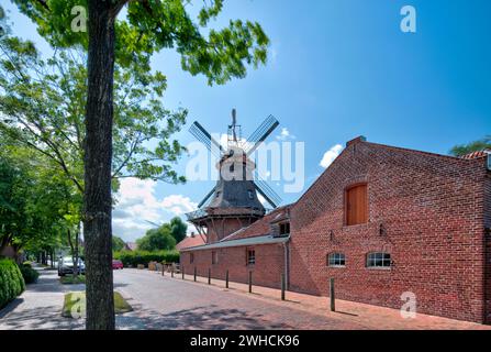 Schlachterei, Windmühle, Hausfassade, Architektur, Stadtblick, Jever, Friesland, Niedersachsen, Deutschland, Stockfoto