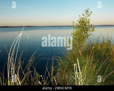 Ewiges Meer, Naturschutzgebiet, Ostfriesland, Deutschland Stockfoto