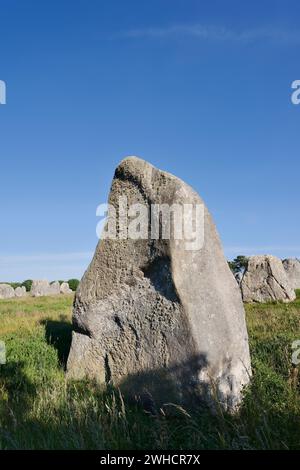 Megalithe, Alignements du Menec, Carnac, Departement Morbihan, Bretagne, Frankreich Stockfoto