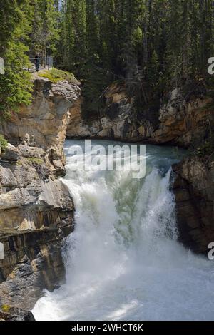 Lower Sunwapta Falls, Sunwapta River, Icefields Parkway, Jasper National Park, Alberta, Kanada Stockfoto