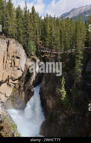 Sunwapta Falls Wasserfall, Sunwapta River, Icefields Parkway, Jasper National Park, Alberta, Kanada Stockfoto