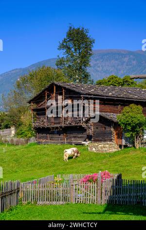 Südtiroler Volkskunde Museum, Dietenheim, Freilchtmuseum, Pustertal, Südtirol, Italien Stockfoto