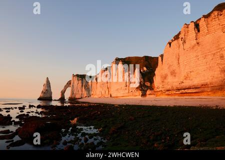 Steile Klippen mit dem Falaise d'Aval Felsentor und der Aiguille díEtretat Felsnadel im Abendlicht, Etretat, Alabasterküste, seine-Maritime, Normandie, Frankreich Stockfoto