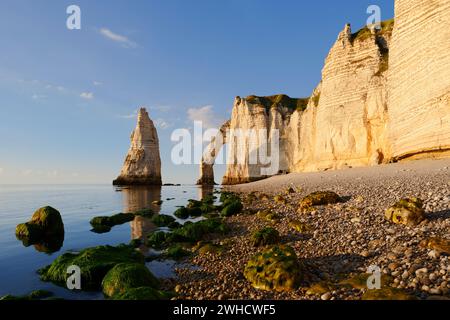 Steile Klippen mit dem Falaise d'Aval Felsentor und der Aiguille díEtretat Felsnadel, Etretat, Alabasterküste, seine-Maritime, Normandie, Frankreich Stockfoto