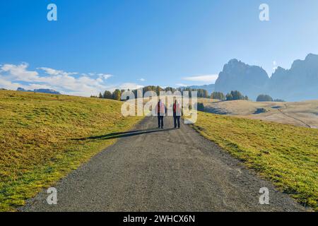 Zwei Wanderer auf der Seiser Alm, Morgenlicht und blauer Himmel, Frost, Dolomiten, Südtirol Stockfoto