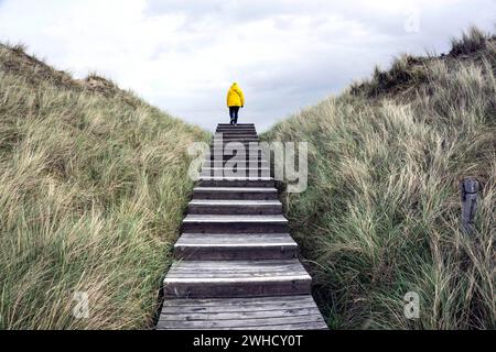 Frau mit gelber Regenjacke, die über eine Treppe in den Dünen läuft, Amrum Island, Wittduen, 24.05.2021 Stockfoto