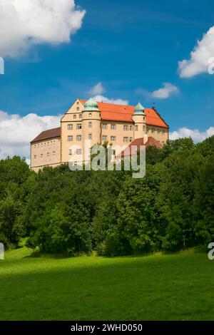 Schloss Kapfenburg, Architektur, historisches Gebäude, Schloss des Deutschen Ordens, ehemalige Burg des Deutschen Ordens, heute Kulturzentrum Stockfoto