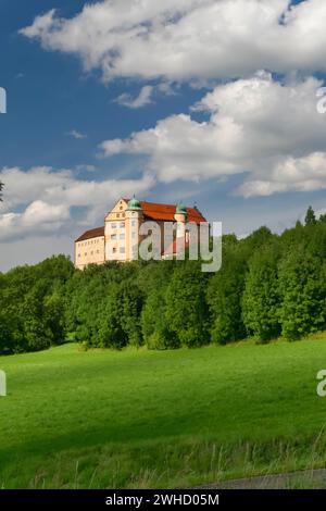 Schloss Kapfenburg, Architektur, historisches Gebäude, Schloss des Deutschen Ordens, ehemalige Burg des Deutschen Ordens, heute Kulturzentrum Stockfoto