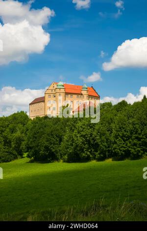 Schloss Kapfenburg, Architektur, historisches Gebäude, Schloss des Deutschen Ordens, ehemalige Burg des Deutschen Ordens, heute Kulturzentrum Stockfoto