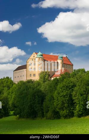 Schloss Kapfenburg, Architektur, historisches Gebäude, Schloss des Deutschen Ordens, ehemalige Burg des Deutschen Ordens, heute Kulturzentrum Stockfoto