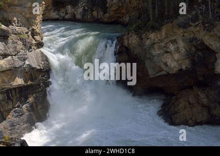 Lower Sunwapta Falls, Sunwapta River, Icefields Parkway, Jasper National Park, Alberta, Kanada Stockfoto