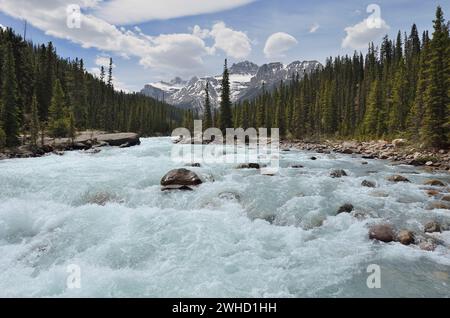 Mistaya River, Icefields Parkway, Banff National Park, Alberta, Kanada Stockfoto