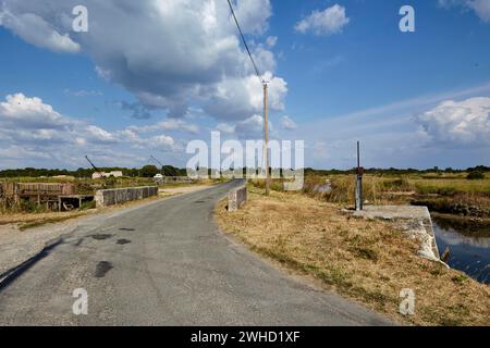 Straße mit Brücke und Kanälen für Austernzucht durch eine Landschaft in Saint-Pierre-d'Oleron, Departement Charente-Maritime, Nouvelle-Aquitaine Stockfoto