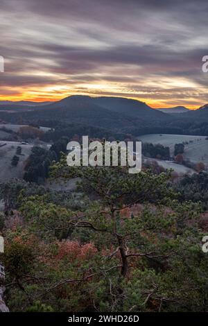 Hügelige Landschaft, aufgenommen auf einem Sandsteinfelsen im Wald. Kalte Morgenatmosphäre bei Sonnenaufgang an einem Aussichtspunkt. Wintermorgen im Pfälzerwald, Deutschland Stockfoto