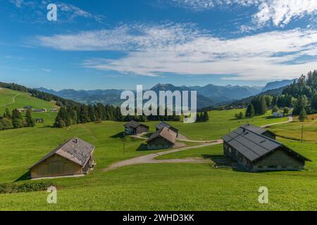 Boedele, Landschaft Bregrenzerwald, Almweide, Alpenblick, Wald, Vorarlberg, Österreich Stockfoto