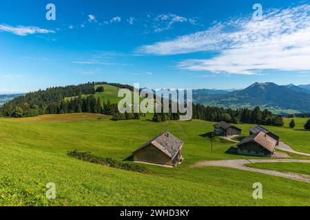 Boedele, Landschaft Bregrenzerwald, Almweide, Alpenblick, Wald, Vorarlberg, Österreich Stockfoto