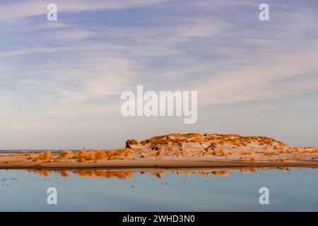 An einem ruhigen Tag spiegelt sich die Dünenlandschaft auf Norderney im Wasser wider Stockfoto