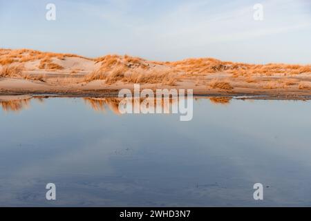 An einem ruhigen Tag spiegelt sich die Dünenlandschaft auf Norderney im Wasser wider Stockfoto