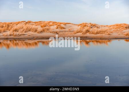 An einem ruhigen Tag spiegelt sich die Dünenlandschaft auf Norderney im Wasser wider Stockfoto