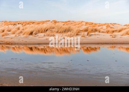 An einem ruhigen Tag spiegelt sich die Dünenlandschaft auf Norderney im Wasser wider Stockfoto