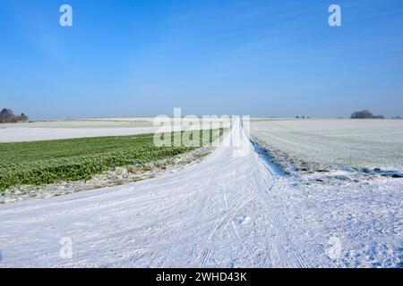 Baden-Württemberg, Kraichgau, schneebedeckte Wege und Landschaft bei Weingarten (Baden), Baden-Württemberg, Deutschland Stockfoto