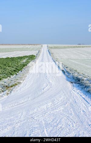 Baden-Württemberg, Kraichgau, schneebedeckte Wege und Landschaft bei Weingarten (Baden), Baden-Württemberg, Deutschland Stockfoto