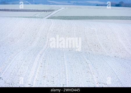 Baden-Württemberg, Kraichgau, schneebedeckte Felder bei Weingarten (Baden), Baden-Württemberg, Deutschland Stockfoto