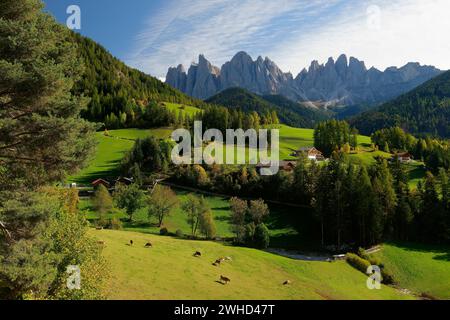 St. Magdalena mit Geislergipfeln (3025 m) im Herbst, Villnösser Tal, Provinz Bozen, Südtirol, Alpen, Dolomiten, Naturpark Puez-Geisler, Geisler-Gruppe, Trentino-Südtirol, Italien, Italien Stockfoto