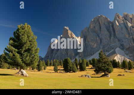 Blick von der Gschnagenhardt Alm auf die Geisler (3025m) im Herbst, Villnösser Tal, Provinz Bozen, Südtirol, Alpen, Dolomiten, Naturpark Puez-Geisler, Geisler-Gruppe, Trentino-Südtirol, Italien, Italien Stockfoto