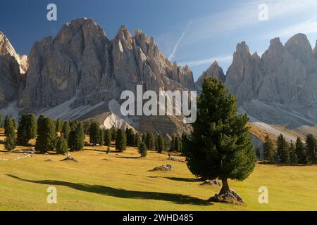 Blick von der Gschnagenhardt Alm auf die Geisler (3025m) im Herbst, Villnösser Tal, Provinz Bozen, Südtirol, Alpen, Dolomiten, Naturpark Puez-Geisler, Geisler-Gruppe, Trentino-Südtirol, Italien, Italien Stockfoto