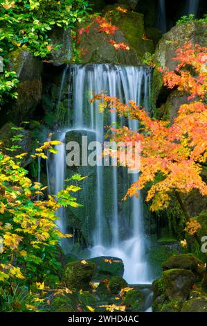 Wasserfall am Lower Pond, Portland Japanese Garden, Washington Park, Portland, Oregon Stockfoto