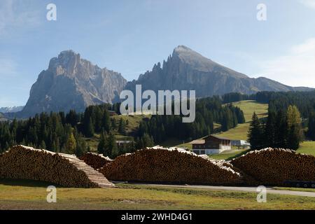 Blick über die Seiser Alm zum Langkofel (3181 m) und Plattkofel (2969 m) im Herbst, Naturpark Schlern-Rosengarten, Gröden, Provinz Bozen, Südtirol, Südtirol, Alpen, Dolomiten, Trentino-Südtirol, Italien, Italia Stockfoto