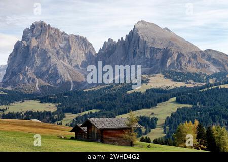 Blick über die Seiser Alm zum Langkofel (3181 m) und Plattkofel (2969 m) im Herbst, Naturpark Schlern-Rosengarten, Gröden, Provinz Bozen, Südtirol, Südtirol, Alpen, Dolomiten, Trentino-Südtirol, Italien, Italia Stockfoto