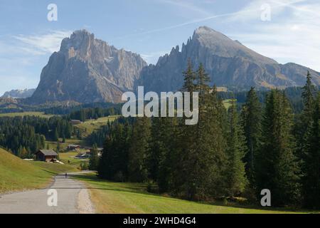 Blick über die Seiser Alm zum Langkofel (3181 m) und Plattkofel (2969 m) im Herbst, Naturpark Schlern-Rosengarten, Gröden, Provinz Bozen, Südtirol, Südtirol, Alpen, Dolomiten, Trentino-Südtirol, Italien, Italia Stockfoto