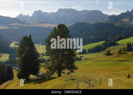 Blick vom Rundwanderweg auf der Seiser Alm in Richtung Rosengarten (3002 m) im Herbst, Naturpark Schlern-Rosengarten, Gröden, Provinz Bozen, Südtirol, Südtirol, Alpen, Dolomiten, Trentino-Südtirol, Italien, Italia Stockfoto