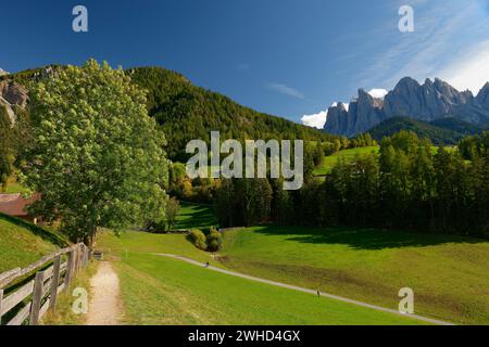 Villnöss-Tal in der Nähe von St.. Magdalena mit Geißelgipfeln (3025 m) im Herbst, Villnösser Tal, Provinz Bozen, Südtirol, Alpen, Dolomiten, Naturpark Puez-Geisler, Geisler-Gruppe, Trentino-Südtirol, Italien, Italien Stockfoto