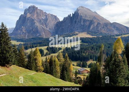 Blick über die Seiser Alm zum Langkofel (3181 m) und Plattkofel (2969 m) im Herbst, Naturpark Schlern-Rosengarten, Gröden, Provinz Bozen, Südtirol, Südtirol, Alpen, Dolomiten, Trentino-Südtirol, Italien, Italia Stockfoto