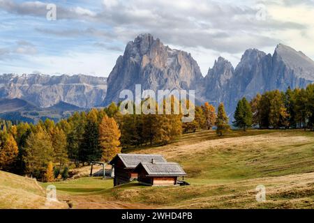 Blick über die Seiser Alm zum Langkofel (3181 m) und Plattkofel (2969 m) im Herbst, Naturpark Schlern-Rosengarten, Gröden, Provinz Bozen, Südtirol, Südtirol, Alpen, Dolomiten, Trentino-Südtirol, Italien, Italia Stockfoto