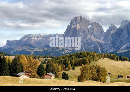 Blick über die Seiser Alm zum Langkofel (3181 m) und Plattkofel (2969 m) im Herbst, Naturpark Schlern-Rosengarten, Gröden, Provinz Bozen, Südtirol, Südtirol, Alpen, Dolomiten, Trentino-Südtirol, Italien, Italia Stockfoto