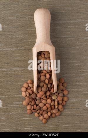 Holzlöffel mit Linsen Stockfoto